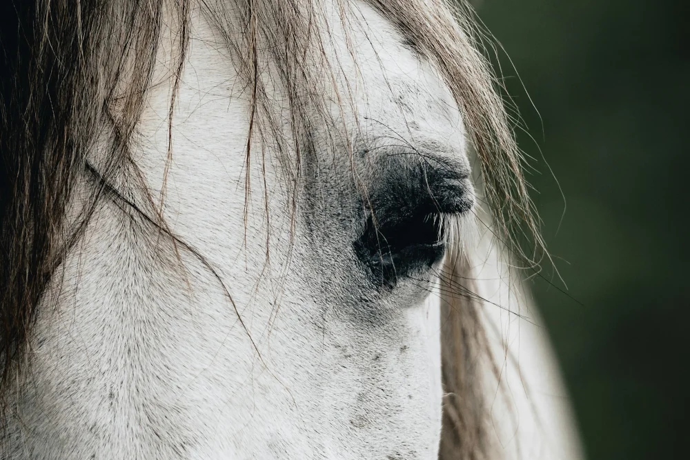 در جامعه مهربان و مودب نباش